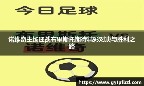 小鸟体育