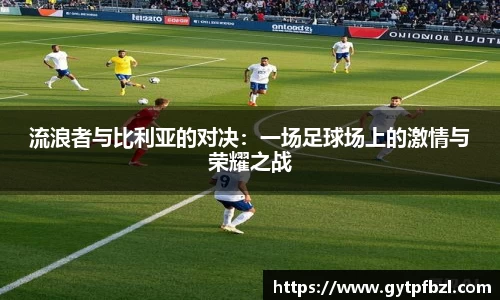 小鸟体育